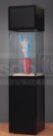 Sockelvitrine mit Banner im Kopfteil