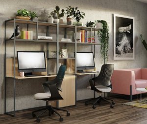 extravagante Büromöbel für Homeoffice mit Homeoffice-Schreibtisch und Büro-Regalschrank