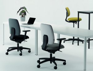moderner Schreibtischdrehstuhl mit zweifarbigen Sitzbezügen