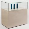 rechteckige Sockelvitrine