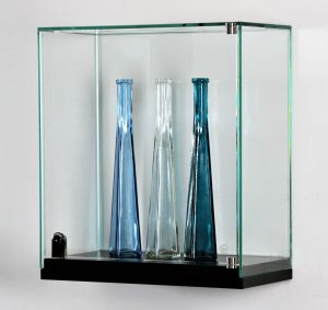 einsteckbare Wandvitrine mit Steckbolzen und abschließbarer Drehtür