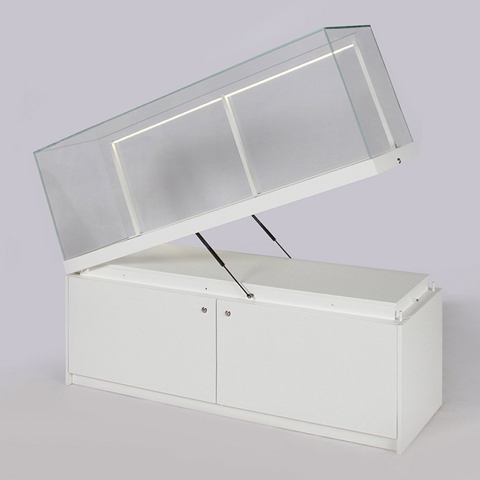 rechteckige Sockelvitrine mit einer an der schmalen Seite mit Gasdruckfedern aufklappbaren Glashaube