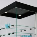 Sockelvitrine mit LED-Deckenspots
