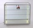 Thekenvitrine mit LED-Streifenbeleuchtung