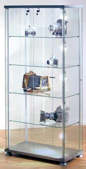 abschließbare und preiswerte Rechteckvitrine