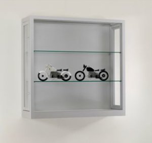 staubdichte Wandvitrine hochwertige Gummidichtungen sichere Staubabdichtung