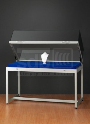Tischvitrine mit Gasdruckfedern