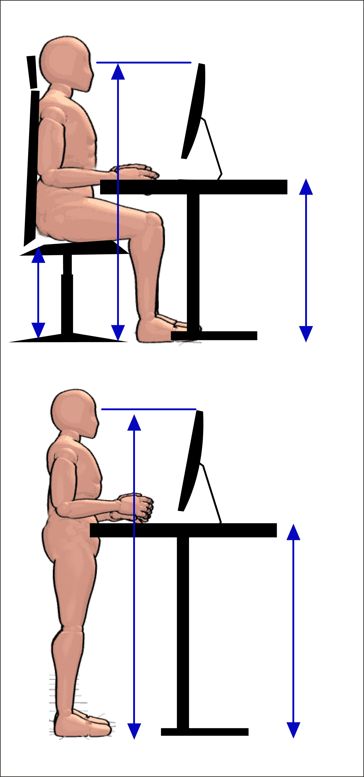 Sitzhöhe, Schreibtischhöhe und Stehtischhöhe Rechner