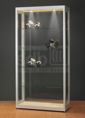 staubdichter Vitrinenschrank mit LED-Deckenbeleuchtung