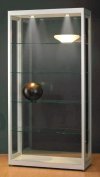staubdichte Schrankvitrine mit LED-Deckenbeleuchtung