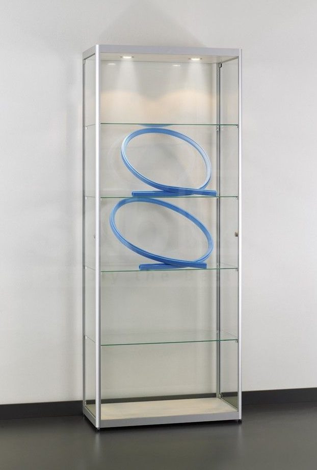 elegante und preiswerte Schrankvitrine mit LED-Deckenbeleuchtung