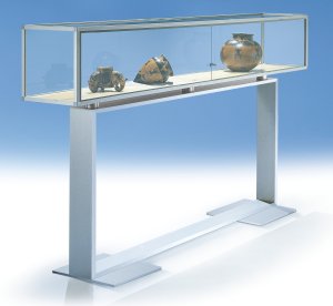 abschließbare Exponat-Vitrine mit Vitrinenkasten (B x T x H = 250 x 42 x 42 cm) auf Untergestell