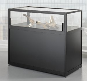 schwarze Tischvitrine mit abschließbarem auf geschlossenem Sockel