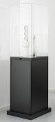 stabile Sockelvitrine / Museumsvitrine
