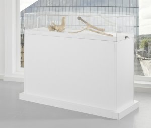 Exponat-Thekenvitrine Glashaube abschließbar weißem Sockel<strong></strong>
