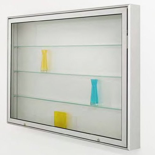 abschließbare Sammelobjekte-Wandvitrine